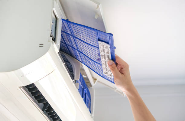 Best Local Air Duct Cleaning Services  in Essex, MD